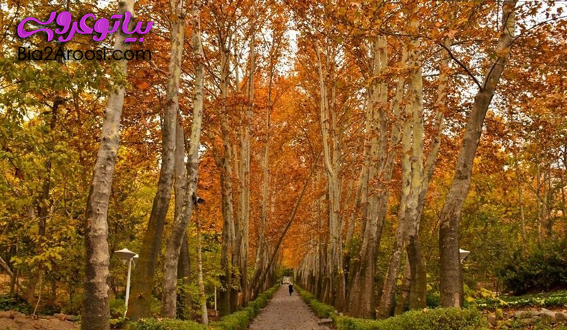 مسیر پیاده روی تهران