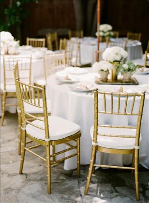 باغ و تالار شوکران باغ و تالار شوکران