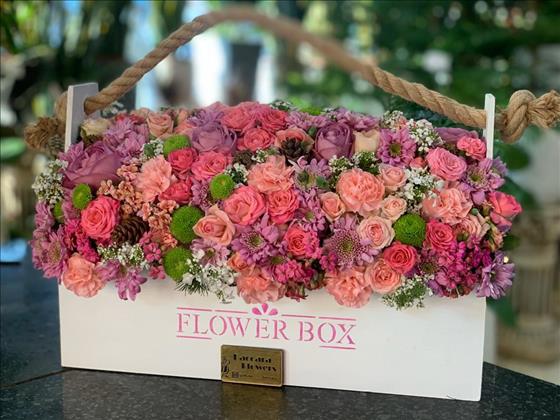 گلهای باکارا گلهای باکارا