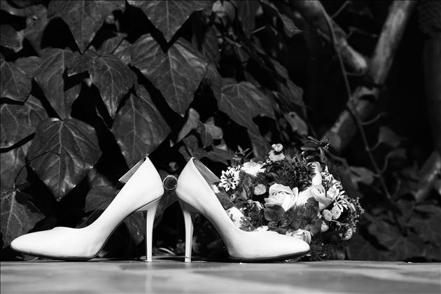 آتلیه نمای بسته