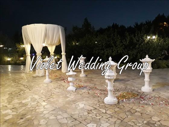 تشریفات مجالس ویولت