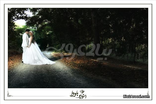 استودیو بلوط