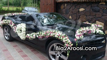 گالری گل نارسیس