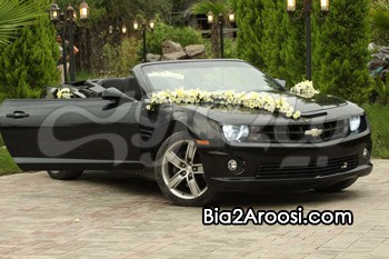 اجاره ماشین عروس نارسیس