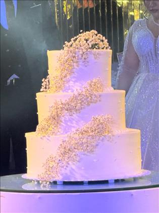 تشریفات عروسی آل یاسین