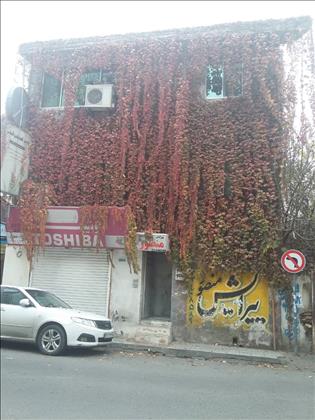 پیرایش منصور