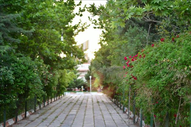 تالار های هتل ثامن