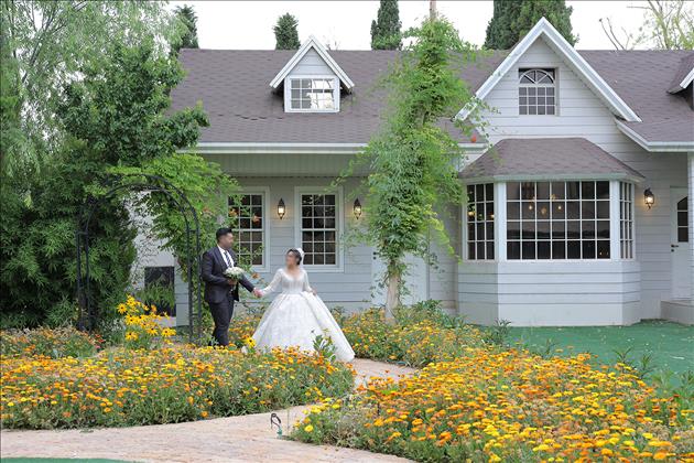 عکاسی طلا (کادر بانو)