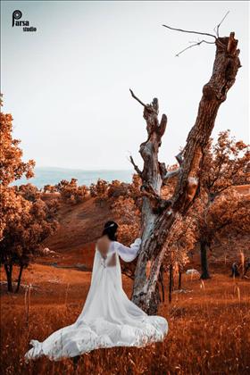 آتلیه پارسا فریدونی