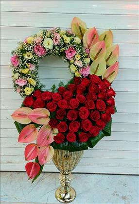 گلکده گل یخ