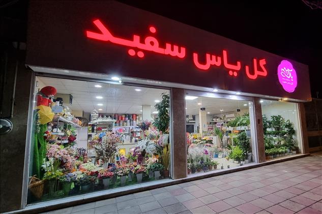گلفروشی گل یاس سفید
