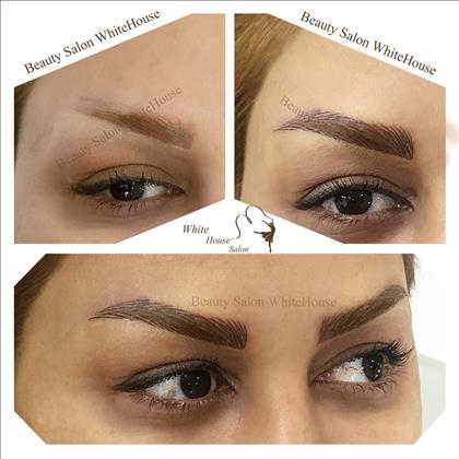 سالن تخصصی پاکسازی و میکروپگمنتیشن خانه سفید