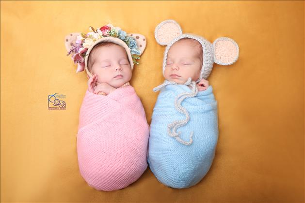 استودیو پاپیون