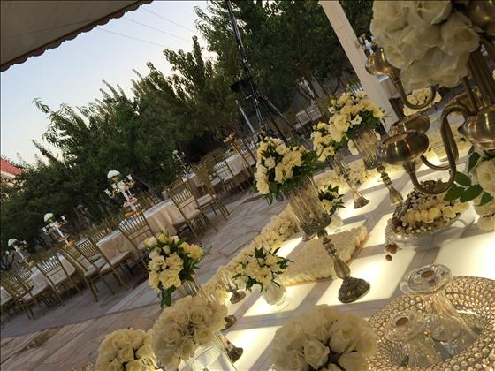 باغسرای آلما