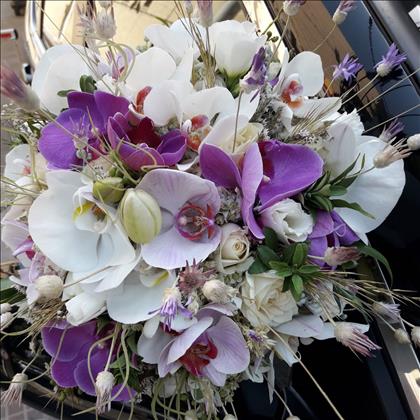 گلفروشی لاواندا