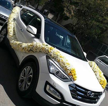 گل ارایی امیر امیری