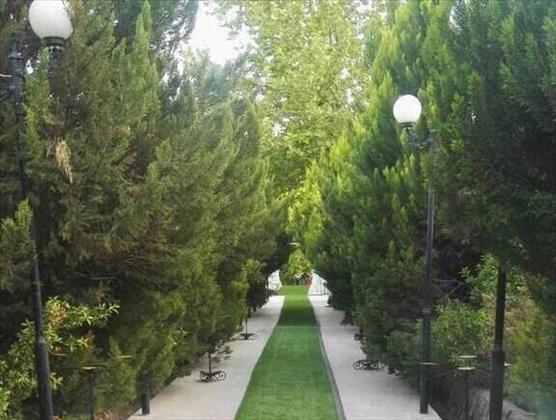 تشریفات رویای طلایی