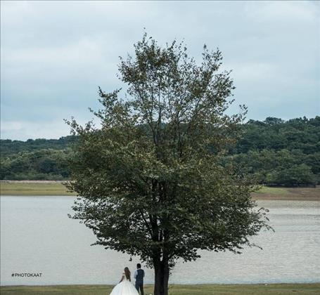 استودیو کات 