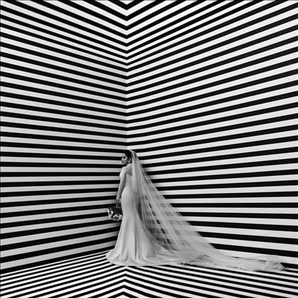 استودیو آنیما استودیو آنیما