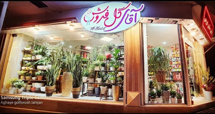 آقای گلفروش