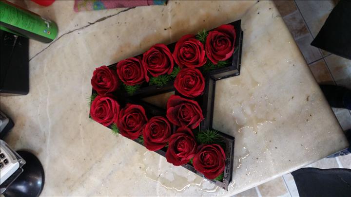 گل مینا شیراز