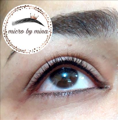 خانه میکروبلیدینگ 