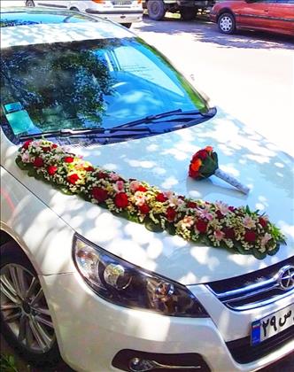 پرشیا  رز گل