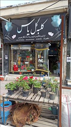 کلبه گل یاس
