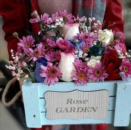 سوپر گل آنلاین رژمیا