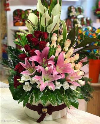 گالری گل آرمونیا