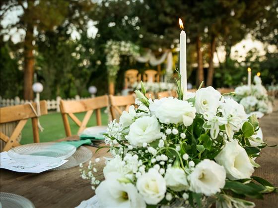 تشریفات و باغ عمارت نوذری تشریفات و باغ عمارت نوذری