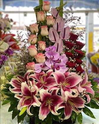 گل فروشی ارکیده 