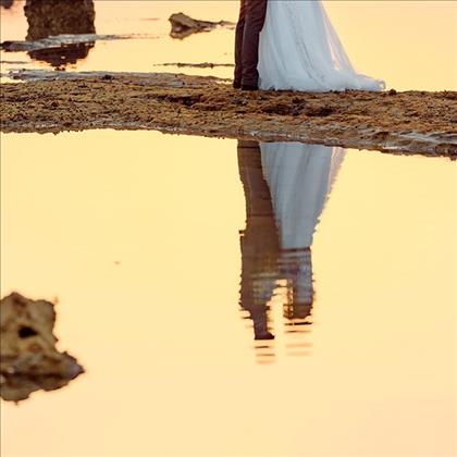 استودیو دال