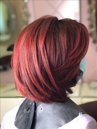 زیبایی گل نسرین زیبایی گل نسرین