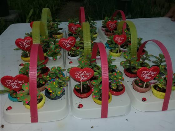 نمایشگاه گل و کاکتوس آبتاب  نمایشگاه گل و کاکتوس آبتاب