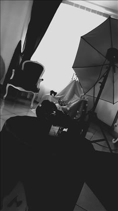 استودیو کاج نقره ای