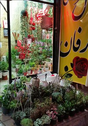 گل فروشی عرفان