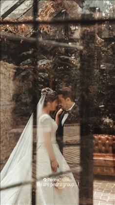 پدرا استودیو 