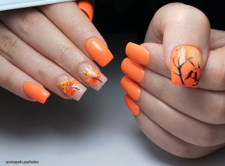 آکادمی کاشت ناخن سمیه پرحلم