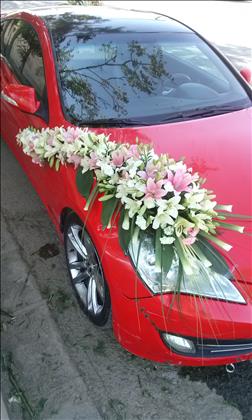 گلفروشی سفیرسبز