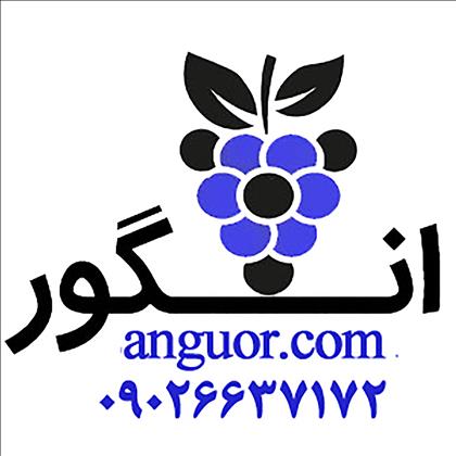 گل فروشی  لوکس انگور