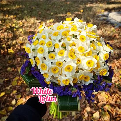 نیلوفر سفید