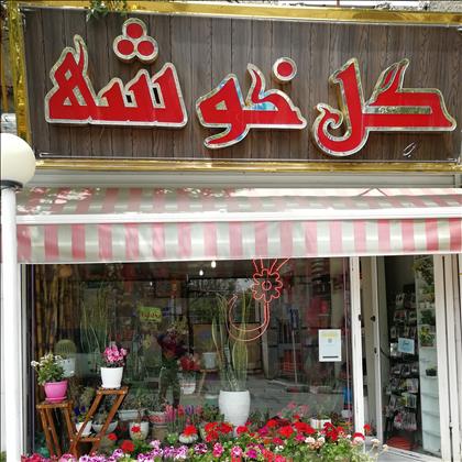 گل خوشه  گل خوشه