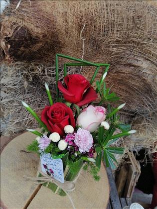 گلفروشی دورادو