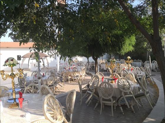 باغ تالار پارمیدا باغ تالار پارمیدا