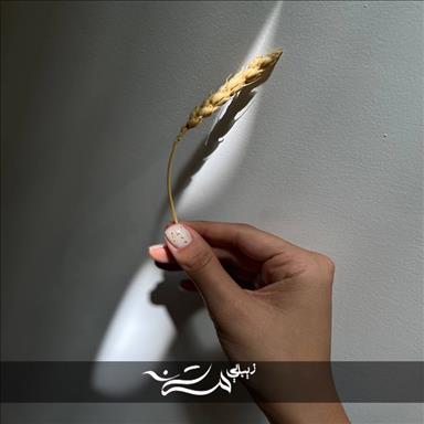 عمارت زیبایی مستانه 27