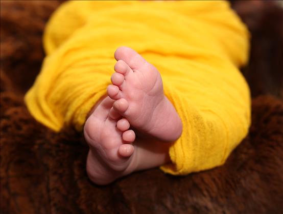 اتلیه نیم رخ اتلیه نیم رخ