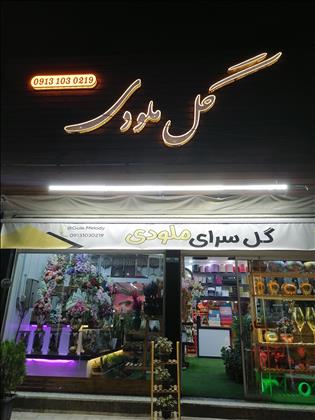 گل سرای ملودی