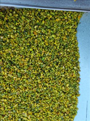 شرکت مغز پسته