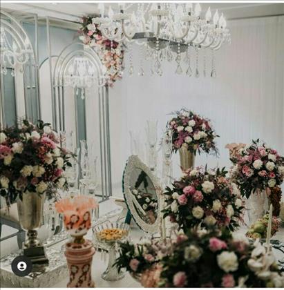 سالن عقد نبات